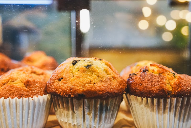 Harvest Coffee Co. photo 2