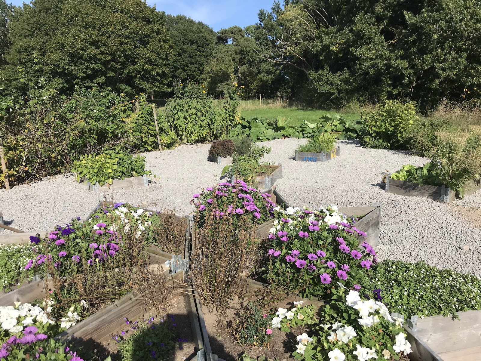 Lilla Rygården Bed & Breakfast