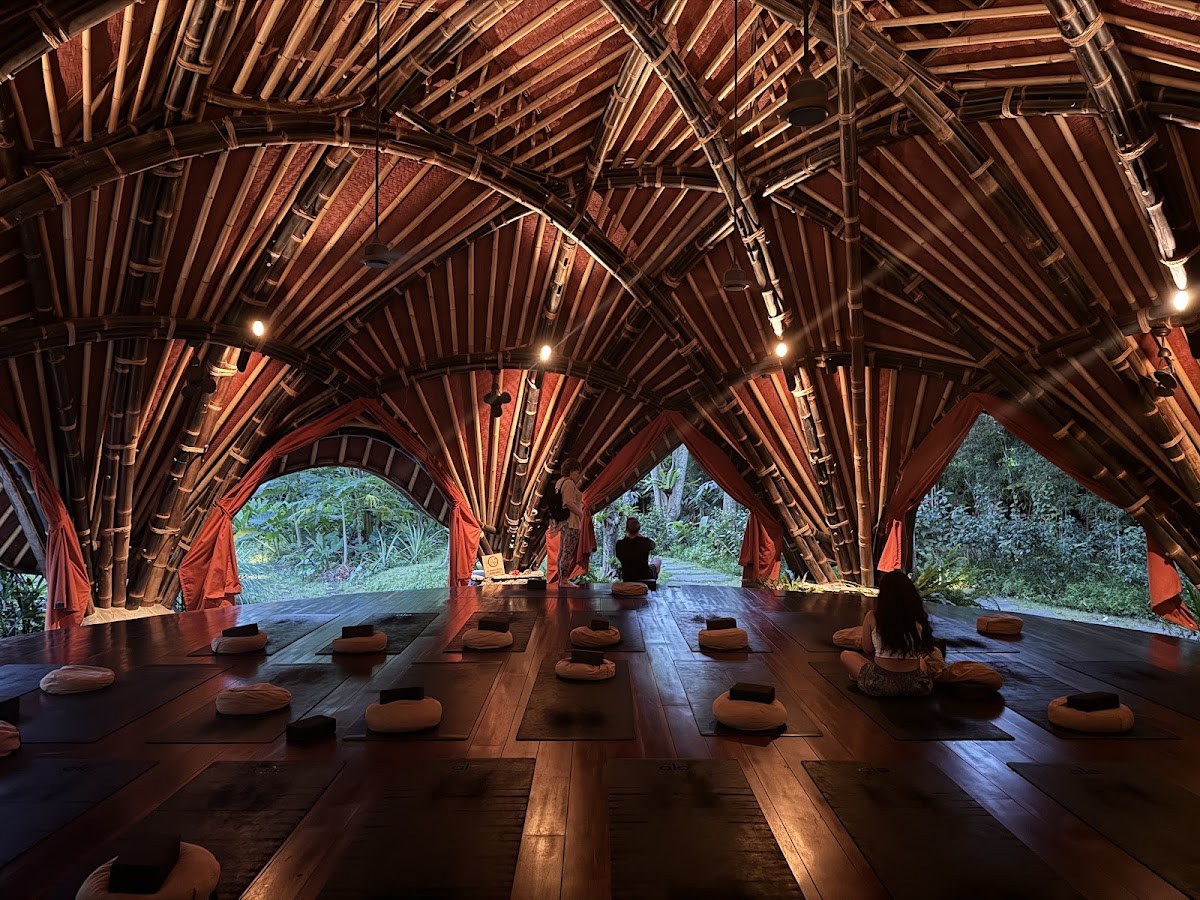 Alchemy Yoga and Meditation Center — 4