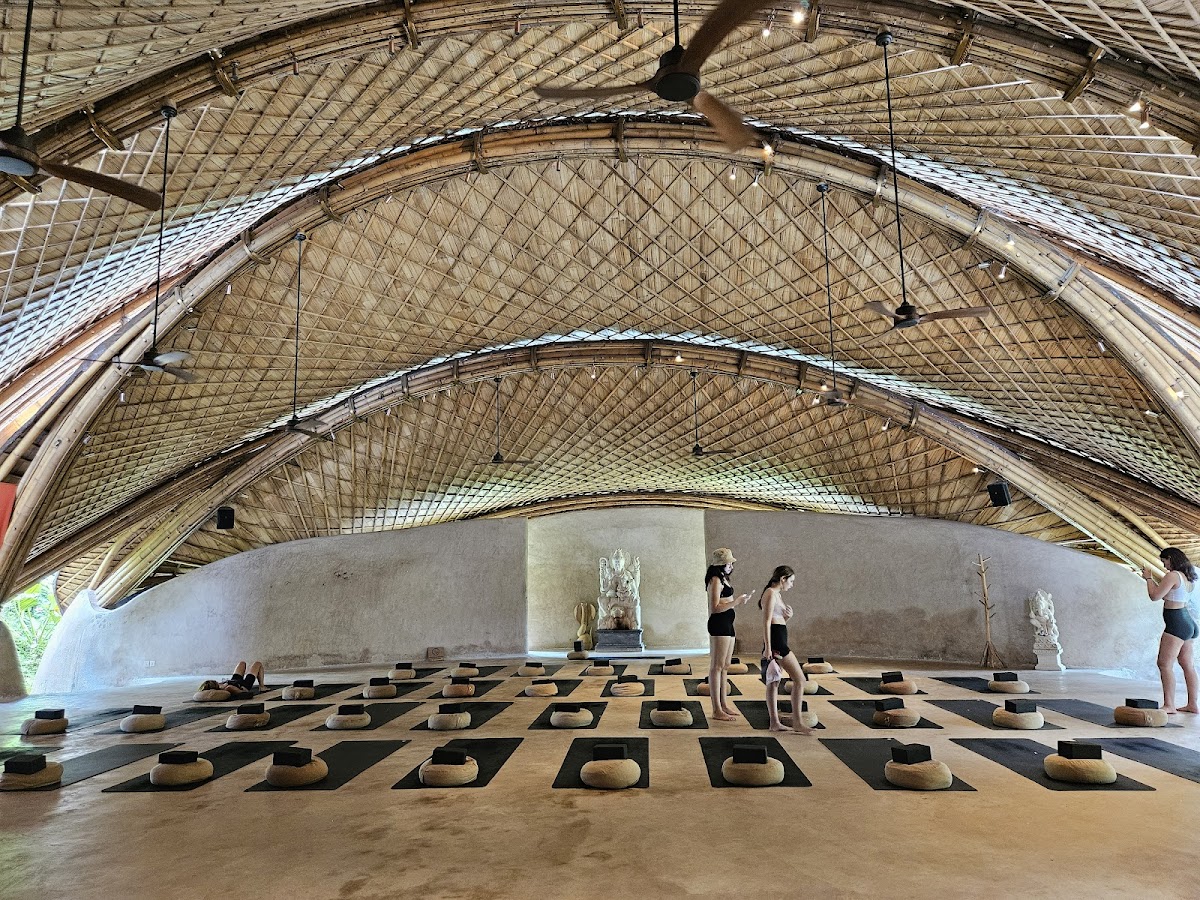 Alchemy Yoga and Meditation Center — 3