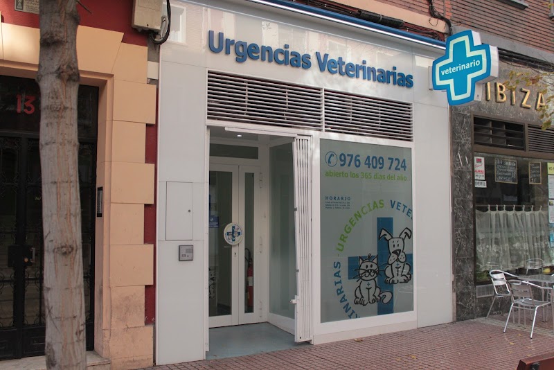 Urgencias Veterinarias Zaragoza