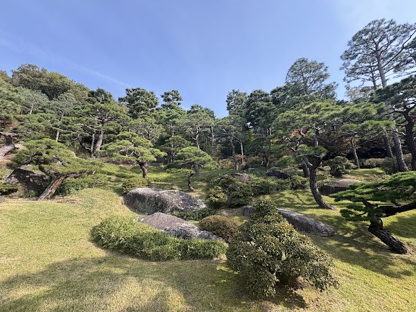 화담숲 소나무정원 1
