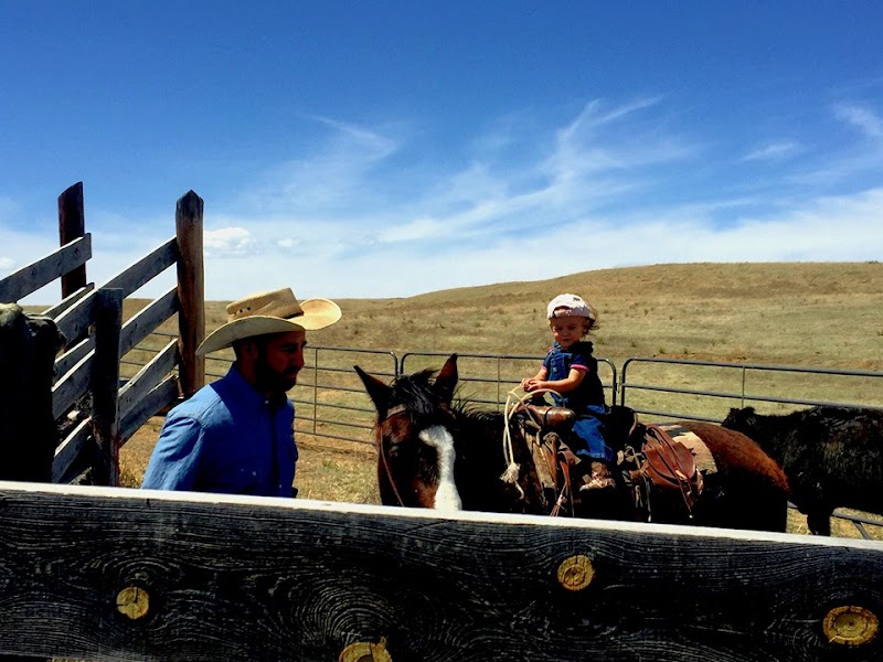 V7 Ranch - Photo 5