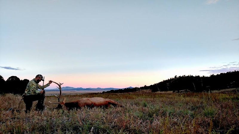 V7 Ranch - Photo 4