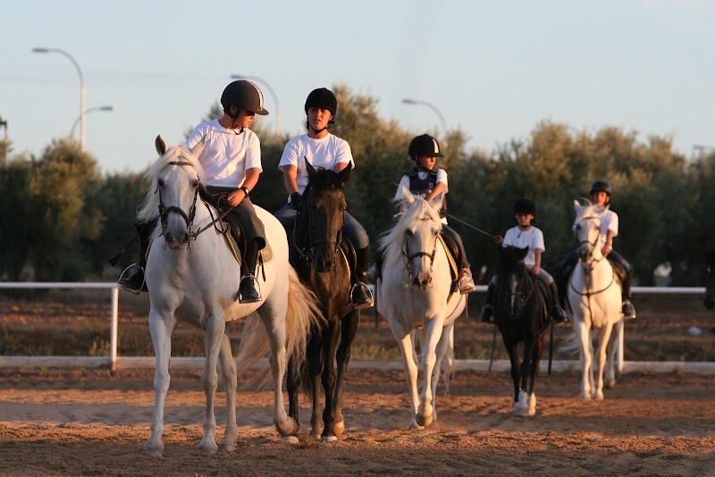 Layos Camp Oficina Madrid