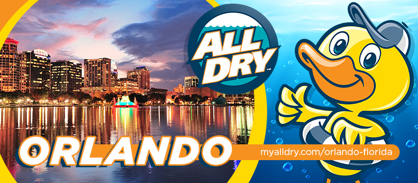 All Dry Services of Orlando — photo