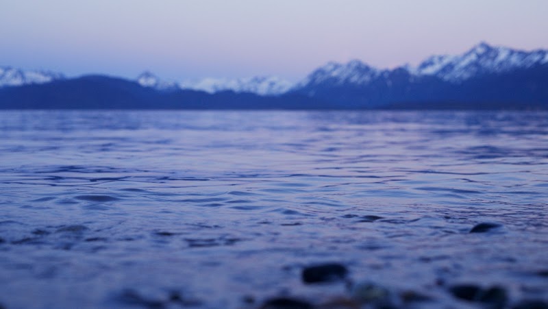 Cove & Co. photo 3
