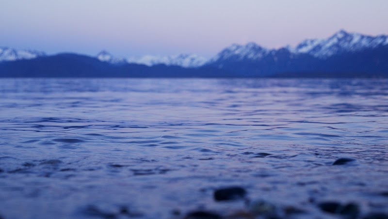 Cove & Co. photo 3