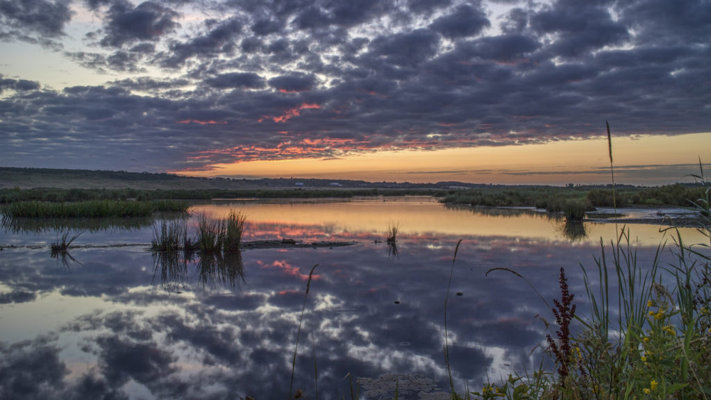 RSPB St Aidan's