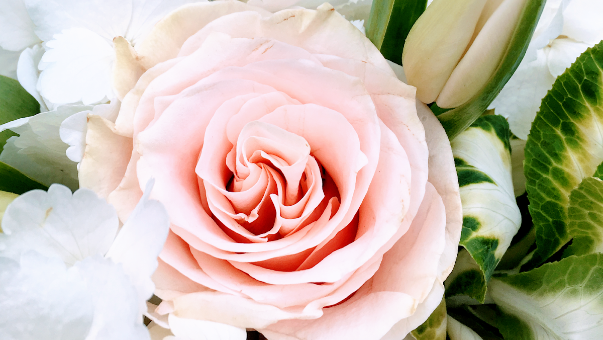 Bloom Flowers: Google Places image 2