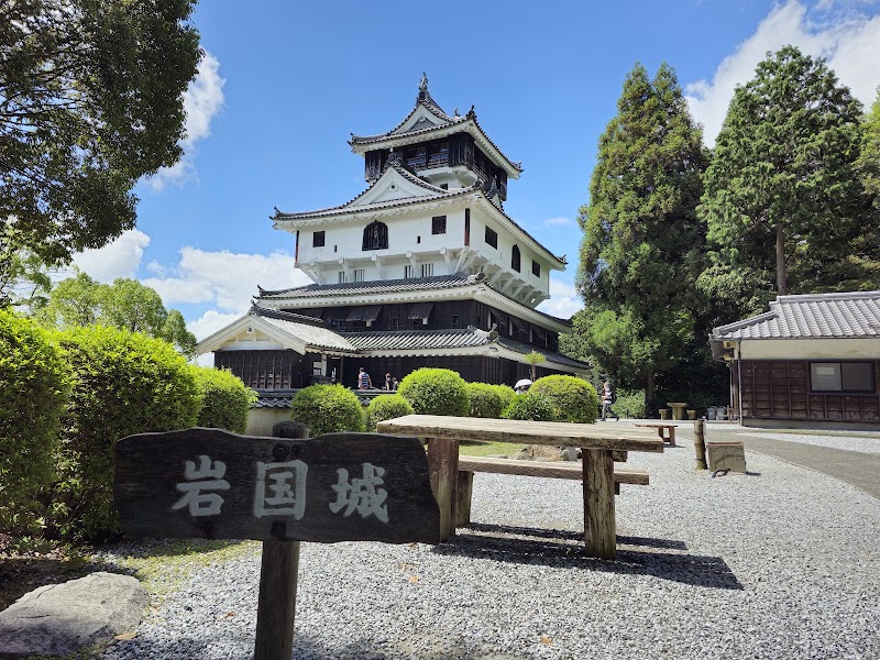 Iwakuni Castle photo