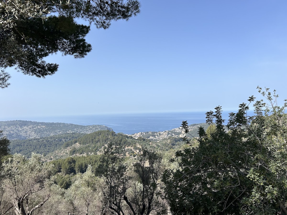 Retreats in Mallorca — 3