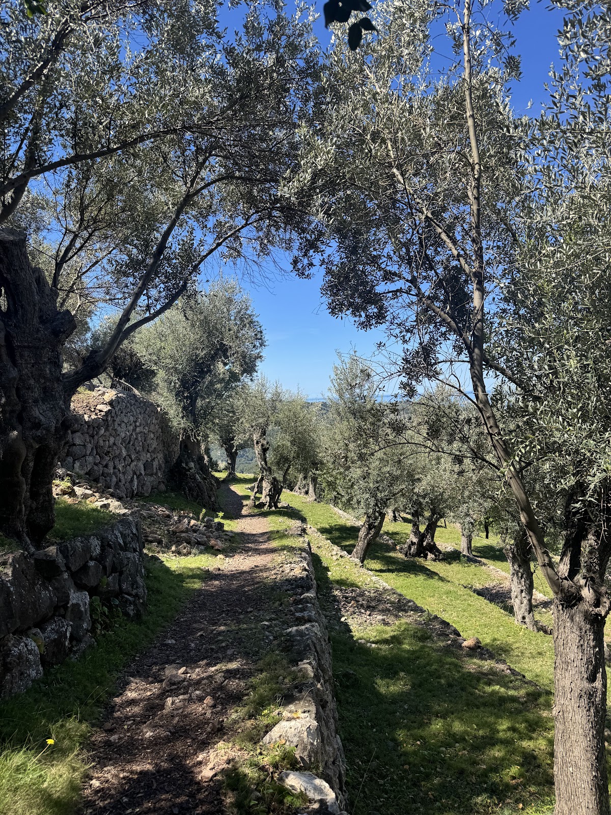 Retreats in Mallorca — 4