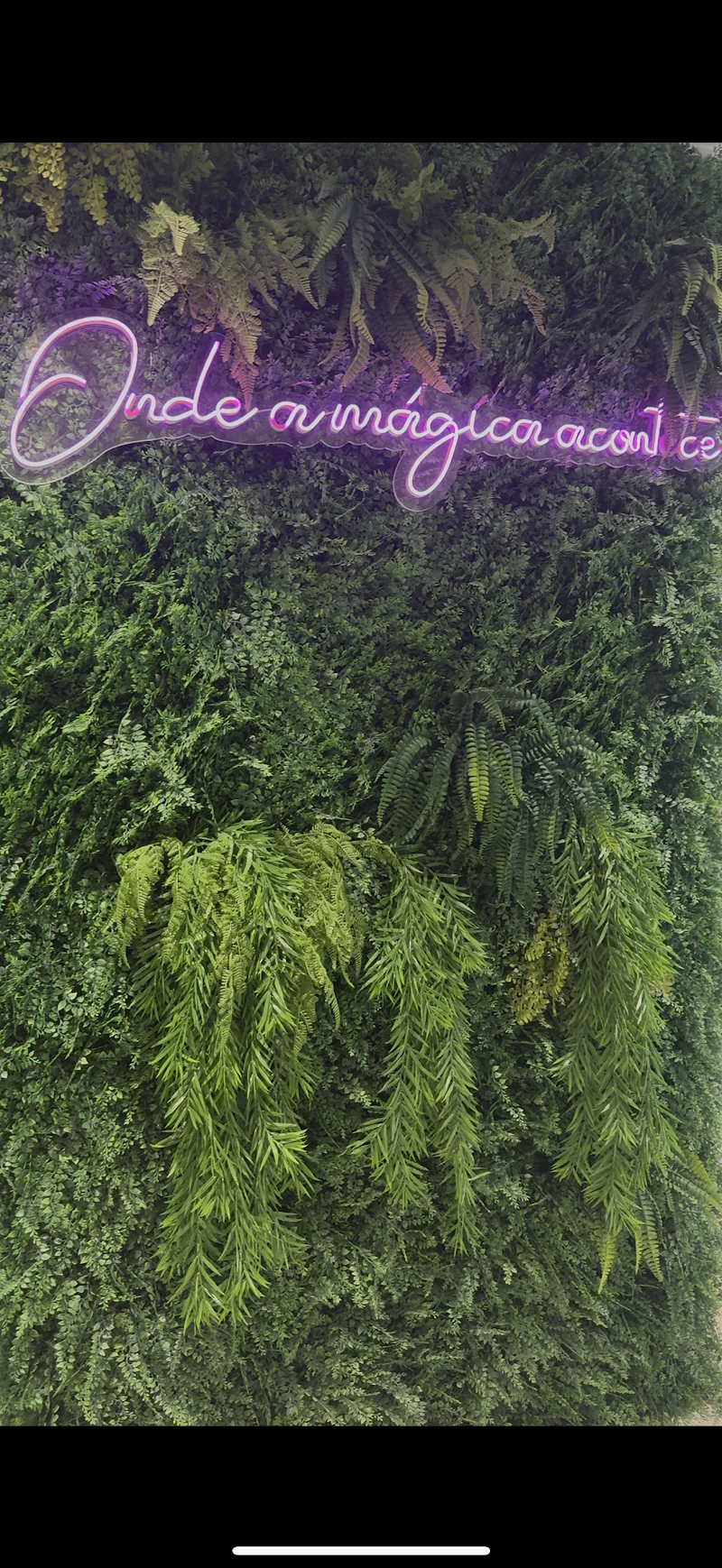 Dr Antonio Coimbra Ortodontista em Belém - foto 3