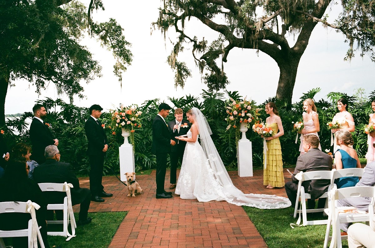 Sarah Marie Photography: Google Places image 3