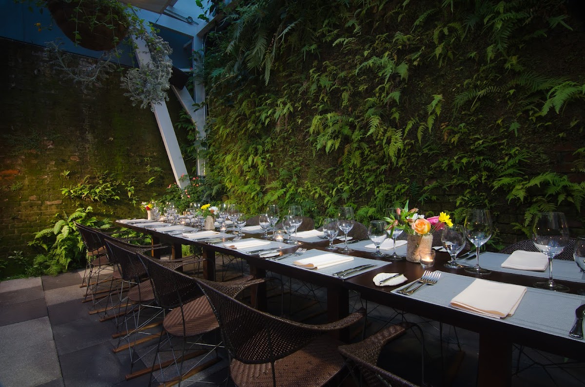 Restaurante Silvestre in san-jose