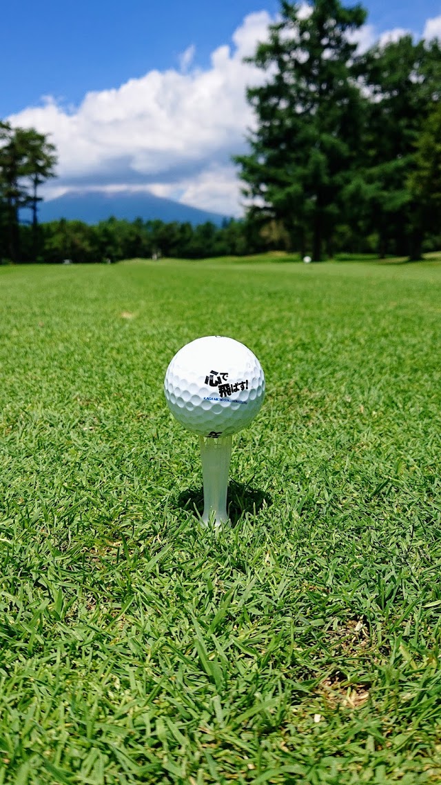 Karuizawa 72 Golf South Course - Photo 5