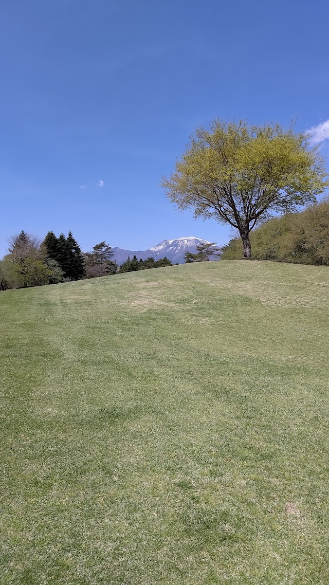 Karuizawa 72 Golf South Course - Photo 9