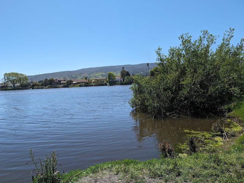 Laguna Lake photo 3