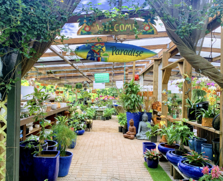 The Bamboo Gallery: Google Places image 3