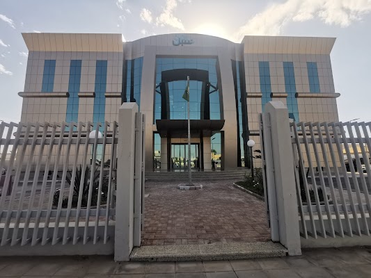 البريد السعودي الاداري