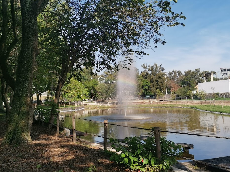 Parque Ávila Camacho fotoğraf 1