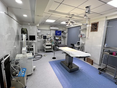Divine Multispeciality Hospital - Image 3