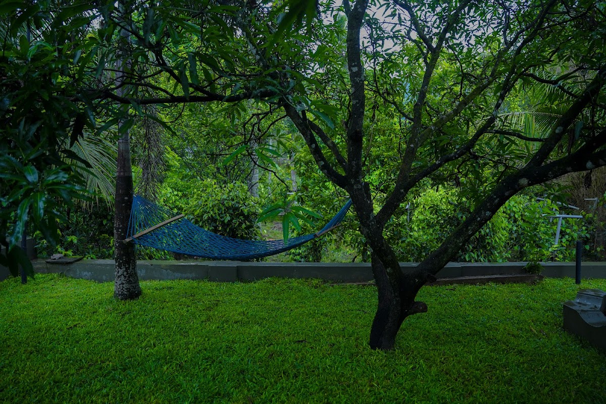 Sahachara Ayurveda Yoga Ecoliving — 3