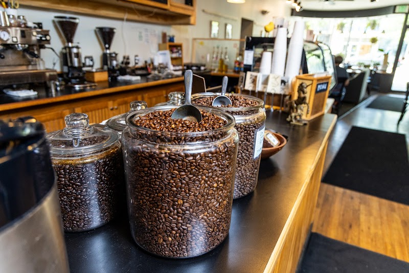 Blackbird Cafe photo 2