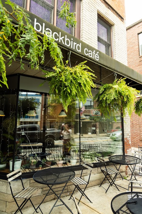 Blackbird Cafe fotoğraf 1
