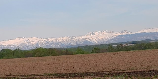 Sorachi River Lavender Forest Golf Course - Photo 10