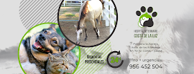 Hospital Veterinario Costa de la Luz
