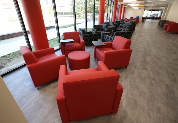 Photo by Mohamed Sugal