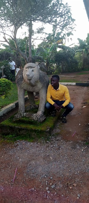 Kampala University Masaka Campus