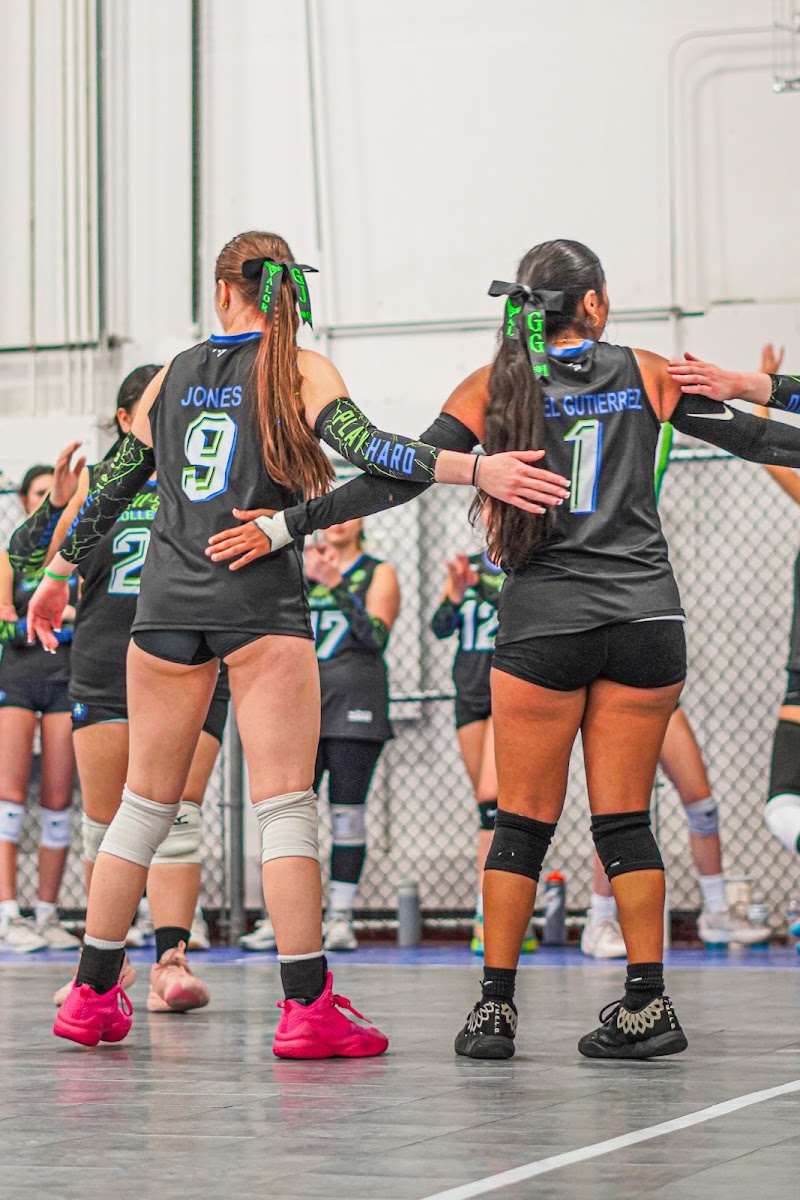 All Set Volleyball