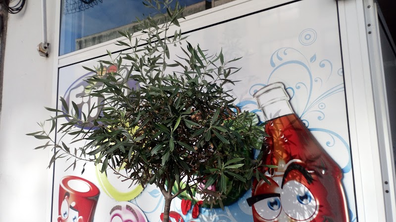 Casa Araujo S.L. photo 2