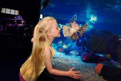 Sea Life Blankenberge