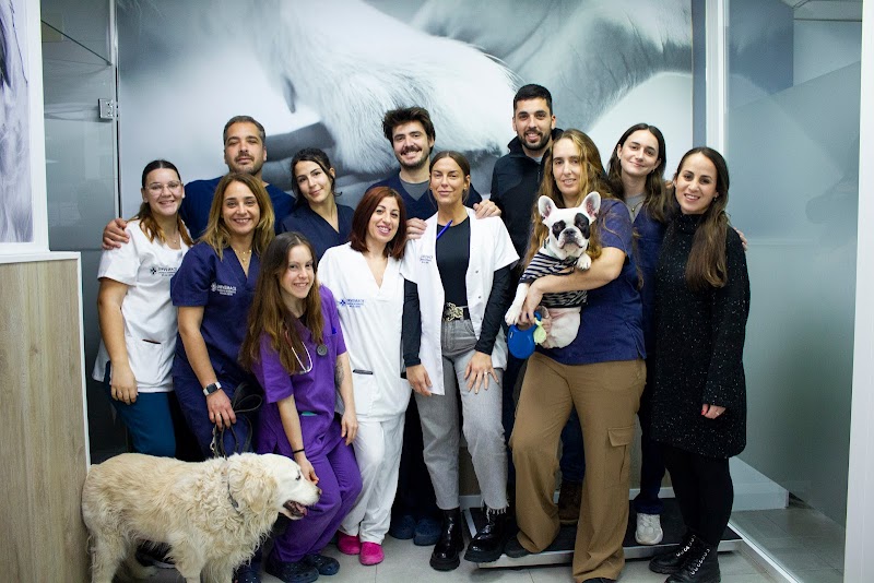 Hospital Veterinario Urvemace