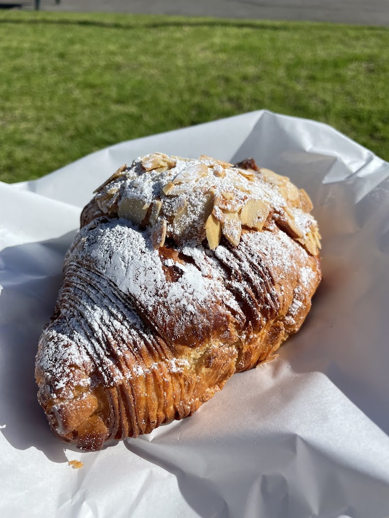 Little Frenchie & Co. photo 3