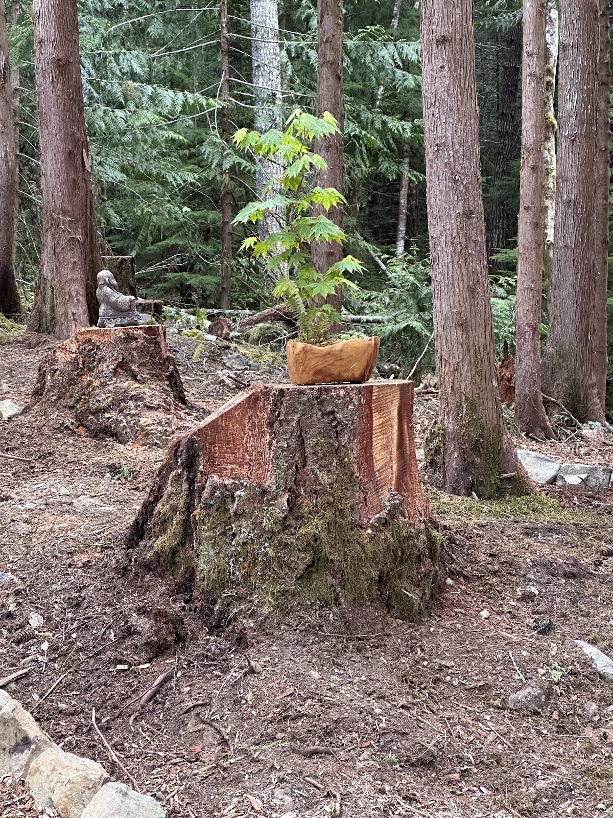 Grow Wild Retreats — 3