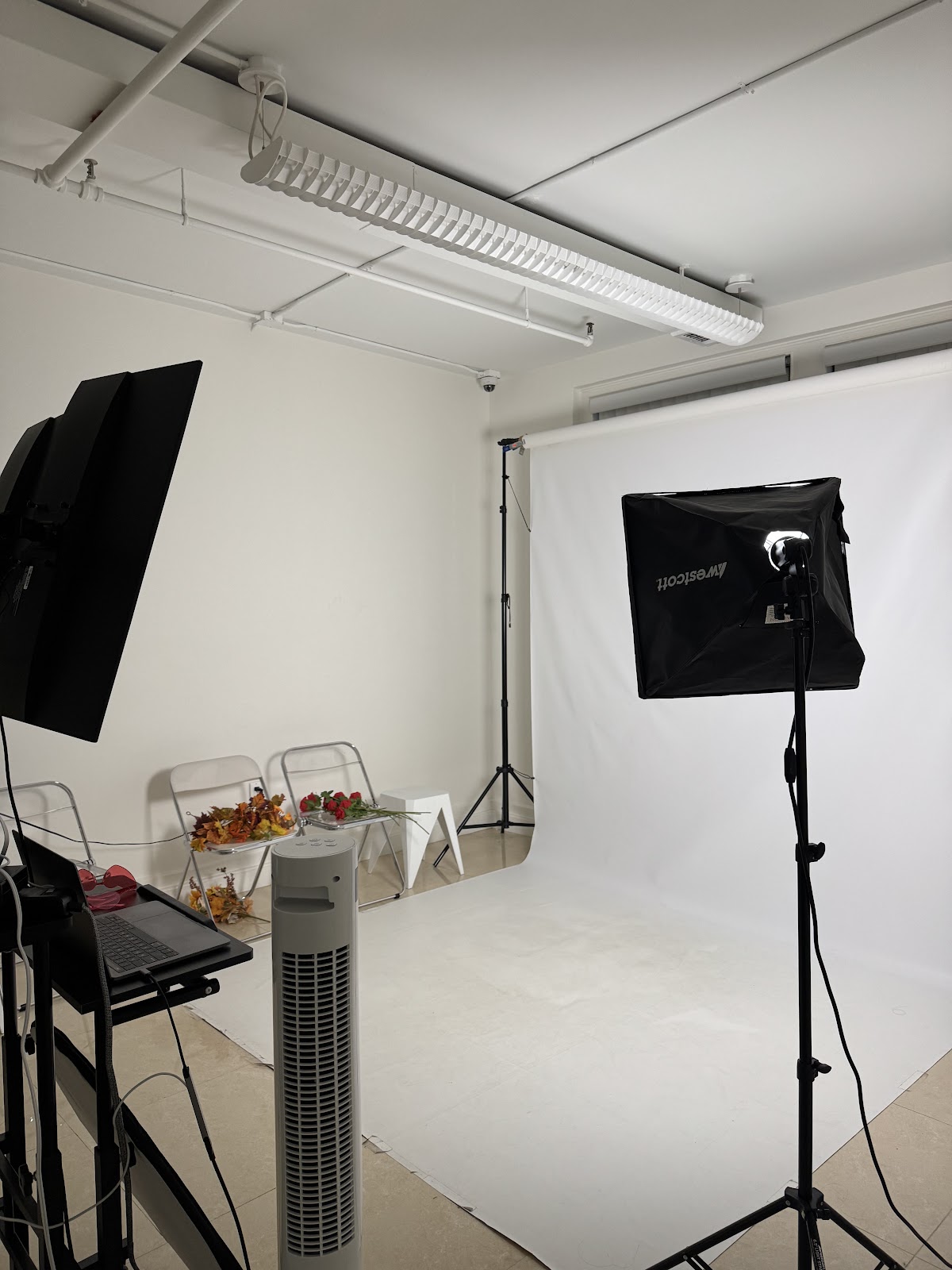 Muse Studios: Google Places image 2