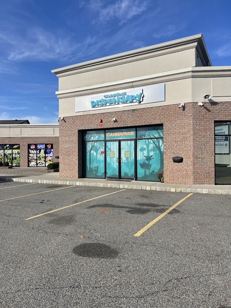Video tour of Cannavibes Dispensary Elmwood Park NJ retail environment