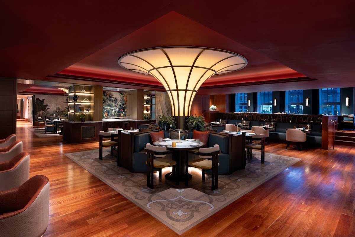 Conrad Hamburg, dog-friendly hotel, photo 5