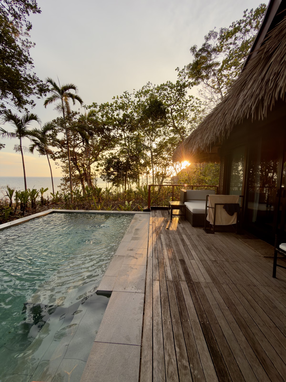 Private villa deck with infinity pool overlooking the ocean at sunset, palm trees and tropical vegetation visible beyond the wooden platform.