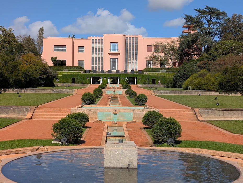 Fundação Serralves fotoğraf 1