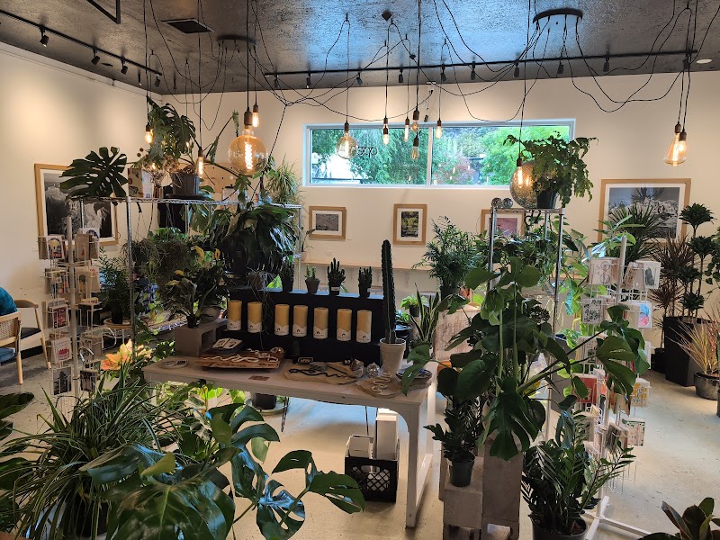 Still Life Coffee & Botanicals photo 3