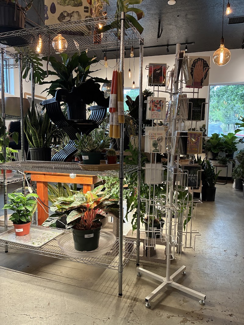 Still Life Coffee & Botanicals photo 1