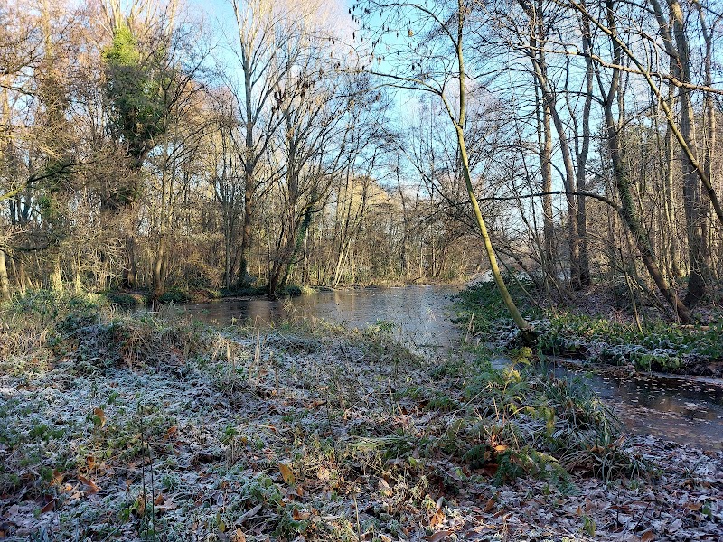Merenwijkpark