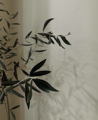 Studio A Creative photo 3