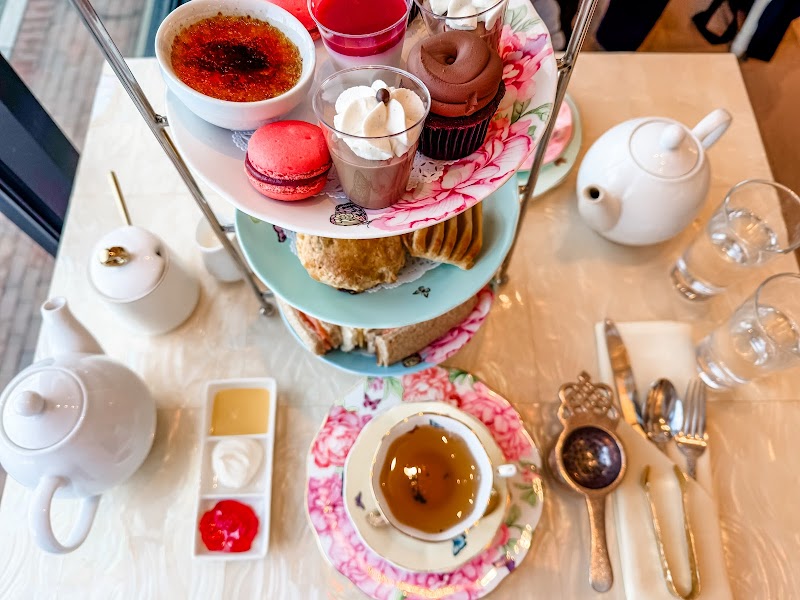 Lady Camellia photo 2